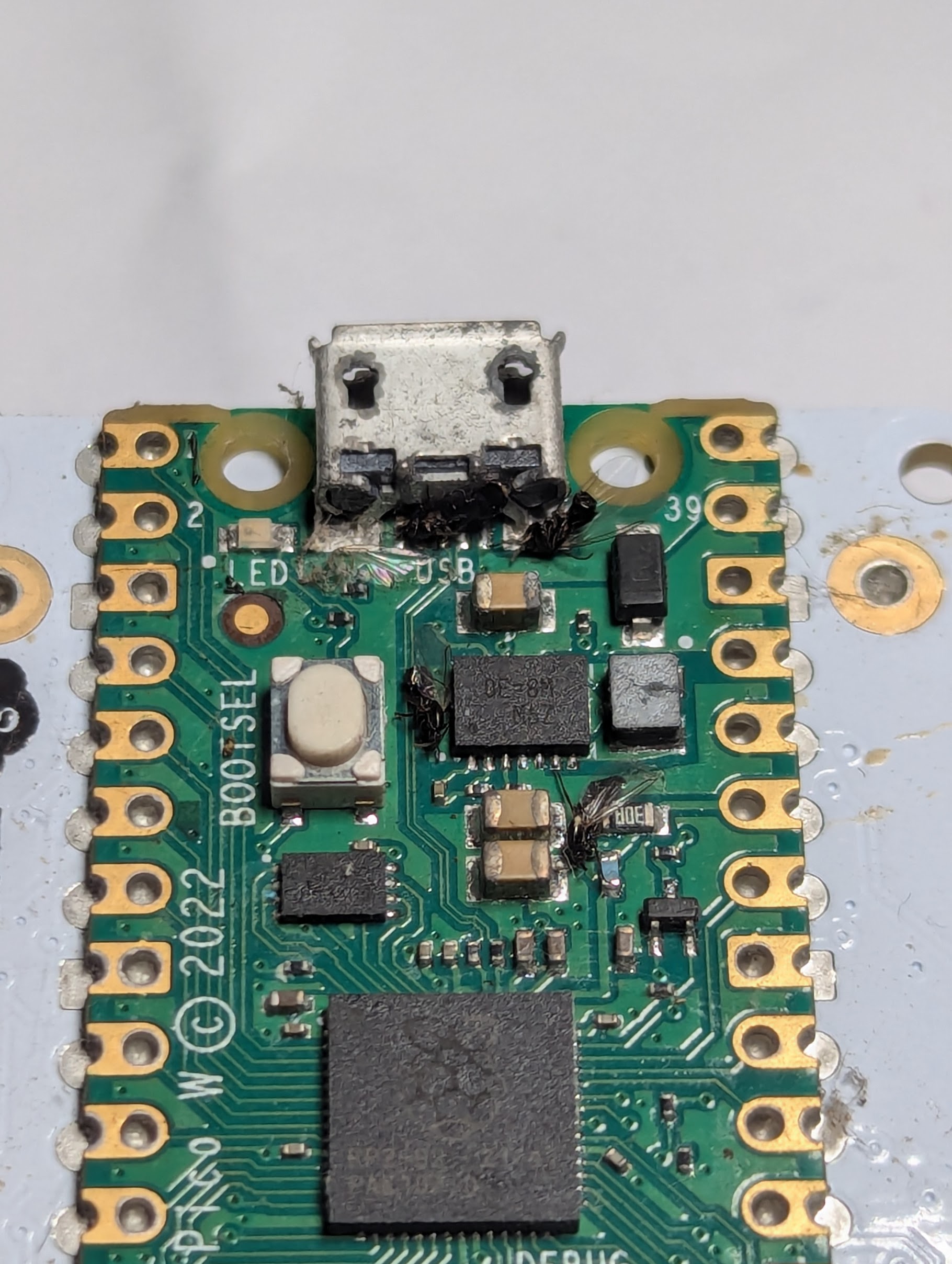 Many dead flies around the USB connector